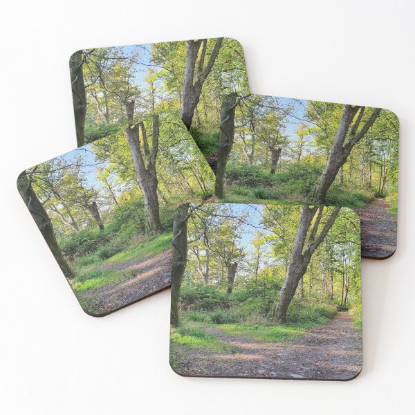 Item preview, Inverkip Forrest Inverclyde Scotland (2) designed and sold by Scottish Photography .