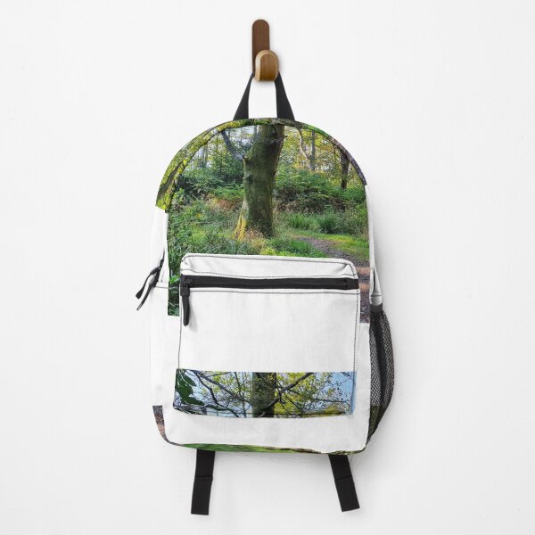 Item preview, Inverkip Forrest Inverclyde Scotland (2) designed and sold by Scottish Photography .