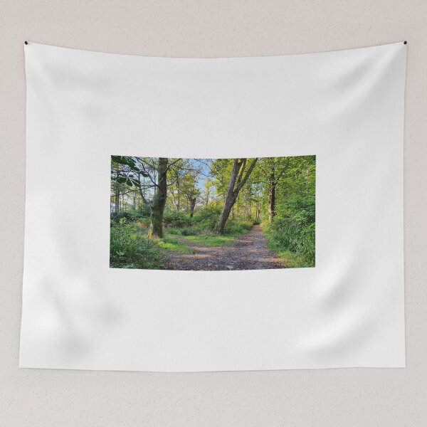 Item preview, Inverkip Forrest Inverclyde Scotland (2) designed and sold by Scottish Photography .