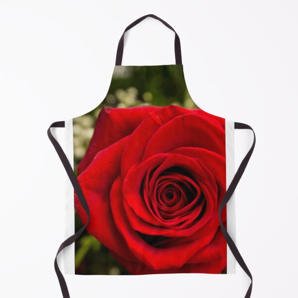 Item preview, Closeup of a red rose  designed and sold by GemaIbarra.