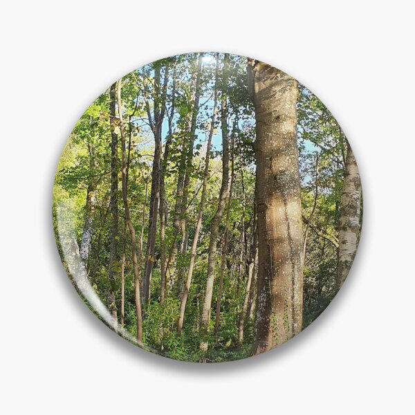 Item preview, Inverkip Forrest Inverclyde Scotland  designed and sold by Scottish Photography .