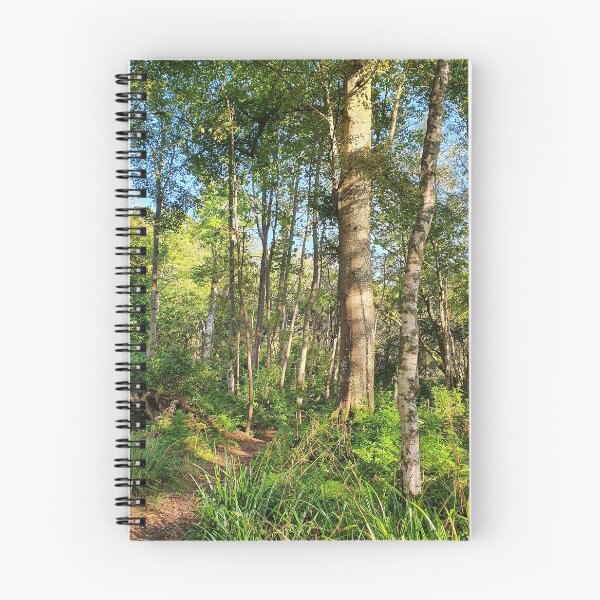 Item preview, Inverkip Forrest Inverclyde Scotland  designed and sold by Scottish Photography .