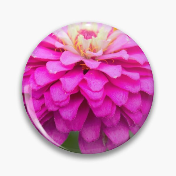 Item preview, Zinnia Variation 2 designed and sold by AliCatOriginals.