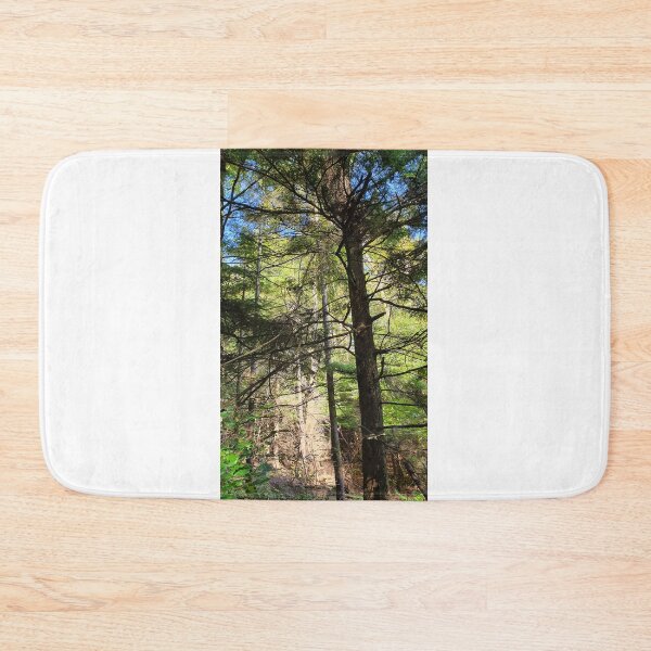 Item preview, Inverkip Forrest Inverclyde Scotland (3) designed and sold by Scottish Photography .
