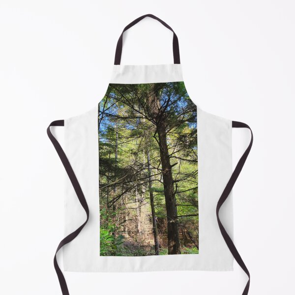 Item preview, Inverkip Forrest Inverclyde Scotland (3) designed and sold by Scottish Photography .