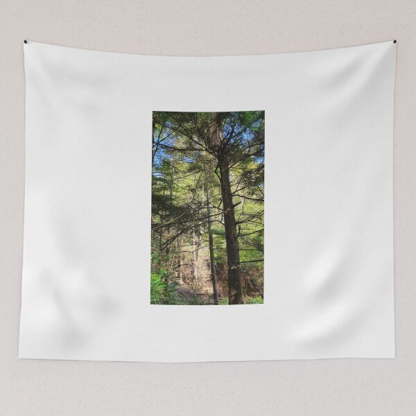 Item preview, Inverkip Forrest Inverclyde Scotland (3) designed and sold by Scottish Photography .