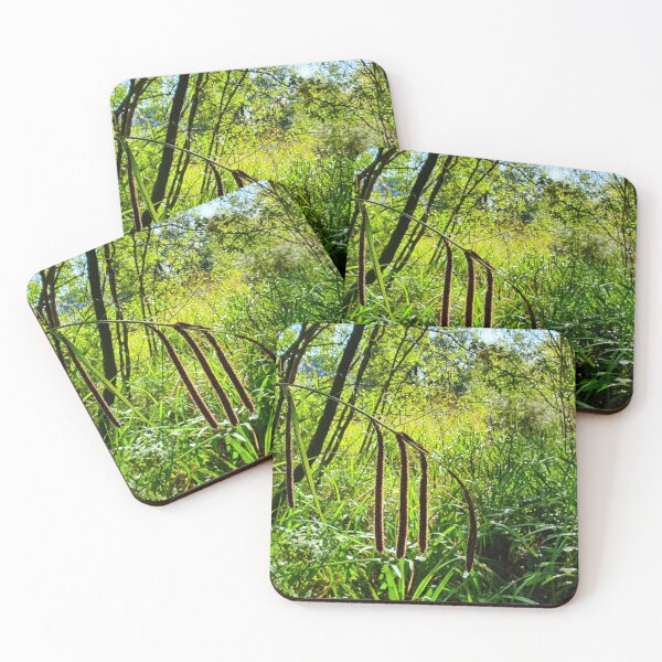 Item preview, Inverkip Forrest Inverclyde Scotland (4) designed and sold by Scottish Photography .