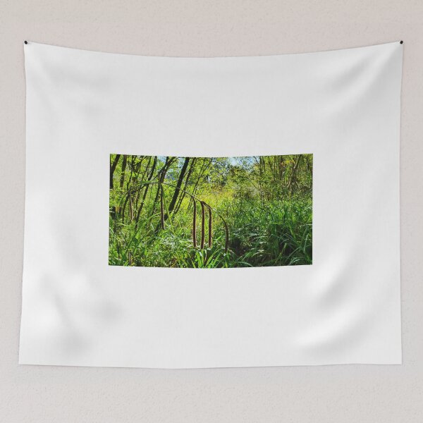 Item preview, Inverkip Forrest Inverclyde Scotland (4) designed and sold by Scottish Photography .