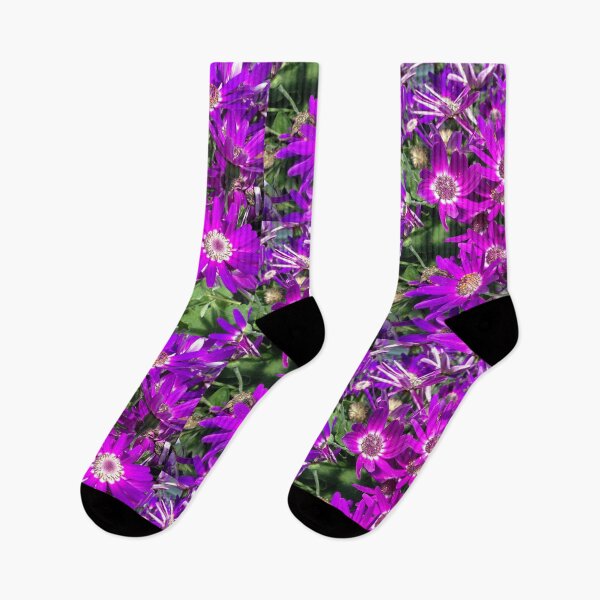 Item preview, Purple Daisy designed and sold by MimiHillier.