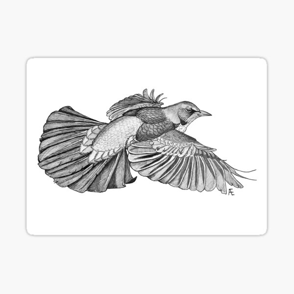 Fieldfare Sticker