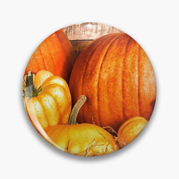 Item preview, Pumpkins designed and sold by habilephoto.