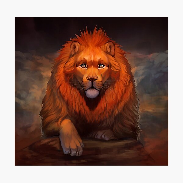 Lion Photographic Print