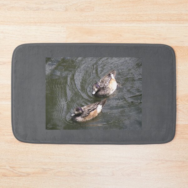 Item preview, Chiloe Wigeon Ducks Follow the Leader Photograph designed and sold by naturegallery.