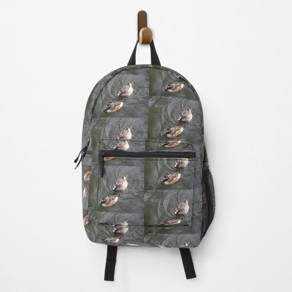 Item preview, Chiloe Wigeon Ducks Follow the Leader Photograph designed and sold by naturegallery.