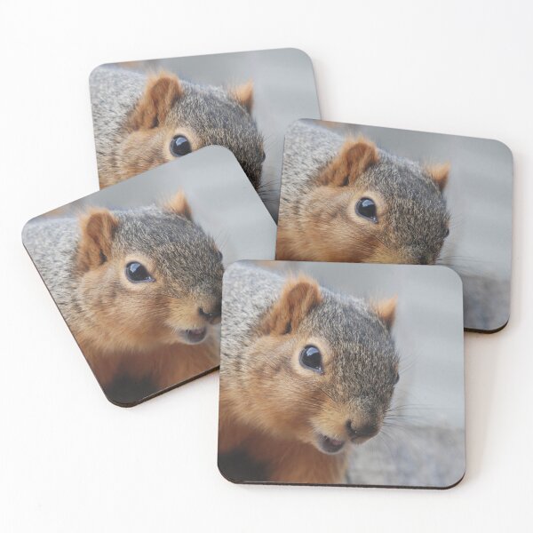 Item preview, C2021 Steve Yellowbear Fine Art  Fox Squirrel Face designed and sold by SteveYellowbear.