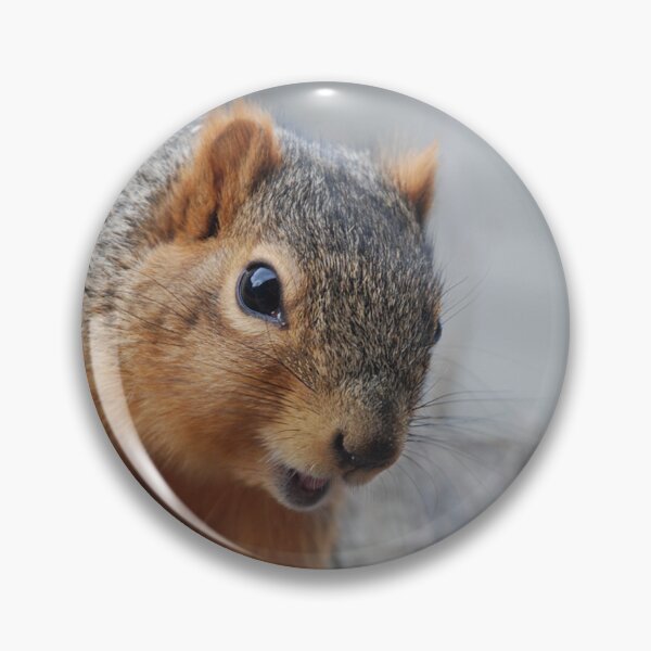 Item preview, C2021 Steve Yellowbear Fine Art  Fox Squirrel Face designed and sold by SteveYellowbear.