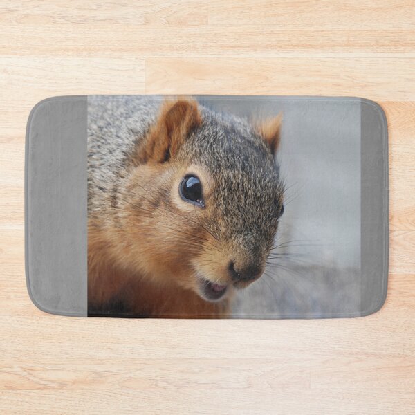 Item preview, C2021 Steve Yellowbear Fine Art  Fox Squirrel Face designed and sold by SteveYellowbear.