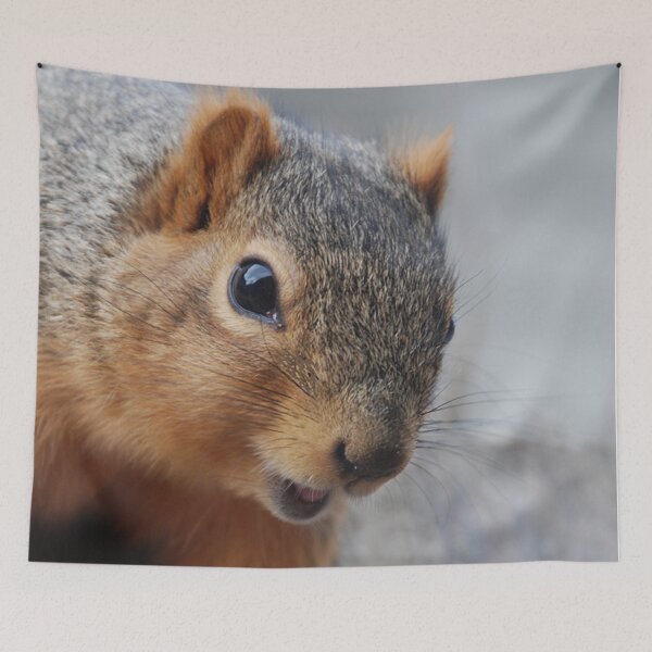 Item preview, C2021 Steve Yellowbear Fine Art  Fox Squirrel Face designed and sold by SteveYellowbear.