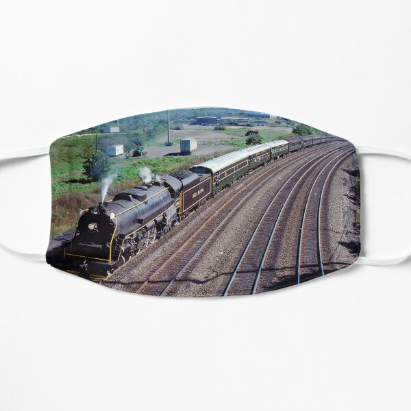Reading Railroad Passenger Steam Train Flat Mask