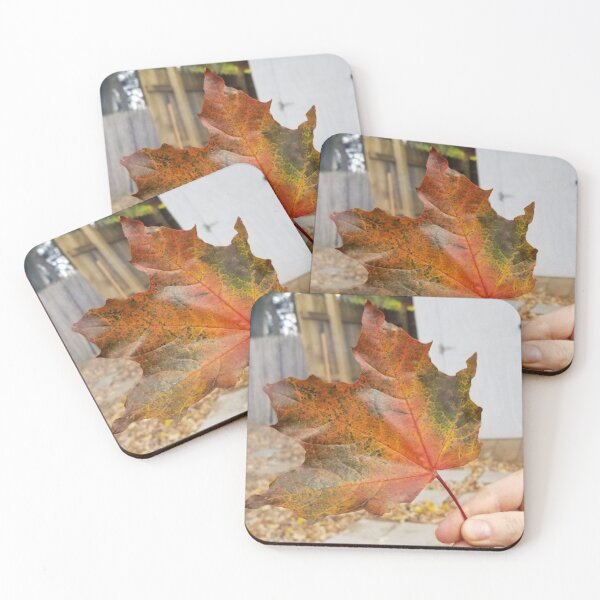 Item preview, Autumn Leaf designed and sold by gratogratto.