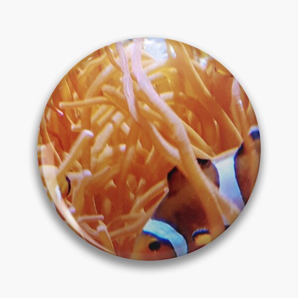 Item preview, Clown fish photography image designed and sold by Artz-by-Karlene.