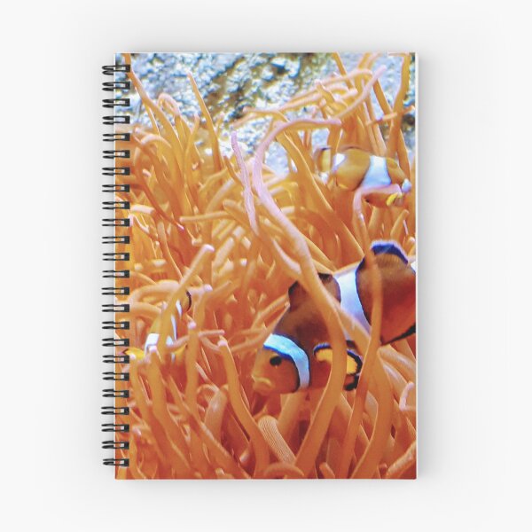 Item preview, Clown fish photography image designed and sold by Artz-by-Karlene.