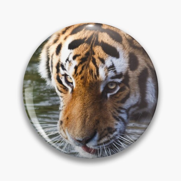 Aperçu de l'œuvre L'oeil du tigre créée et vendue par EngineeringNerd.