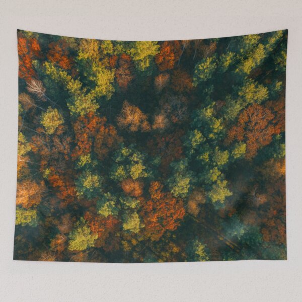 Item preview, Autumn forest designed and sold by OrionPhotograph.