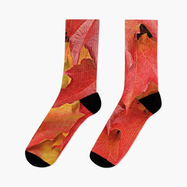 Item preview, Autumn leaves designed and sold by OrionPhotograph.