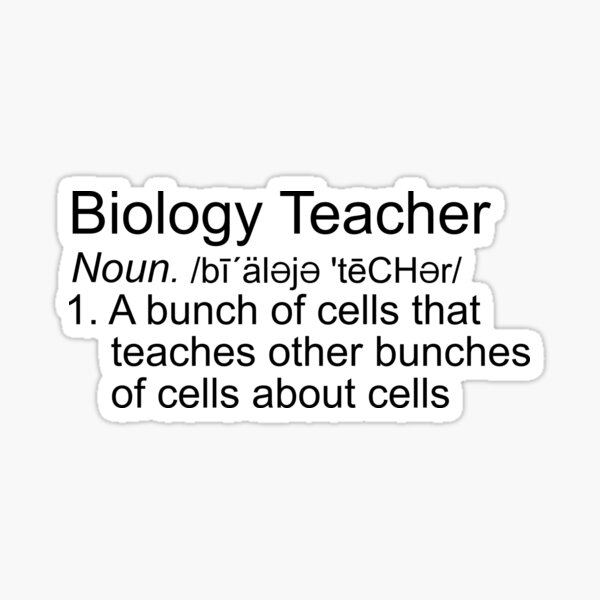 1003 - TEACHER STICKERS - MIXED TEACHER SAYINGS – Halo Bungalow