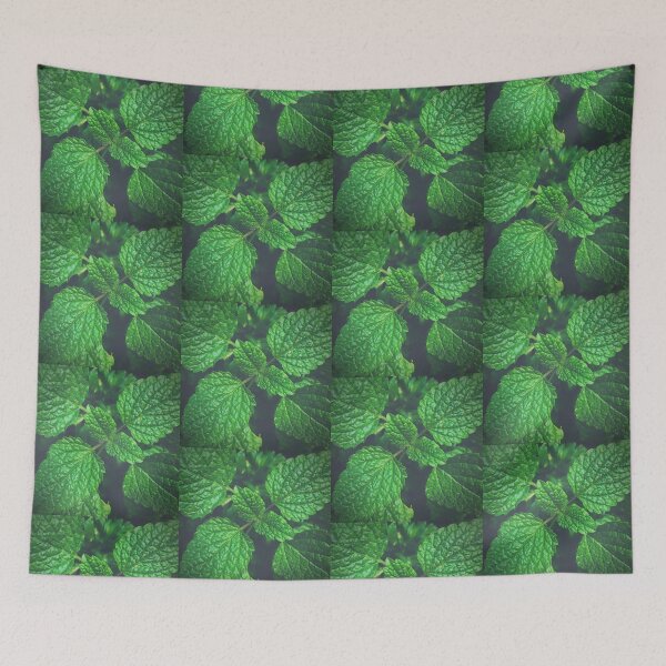 Item preview, Lemon Balm Green Herb Photo designed and sold by EdenLiving.