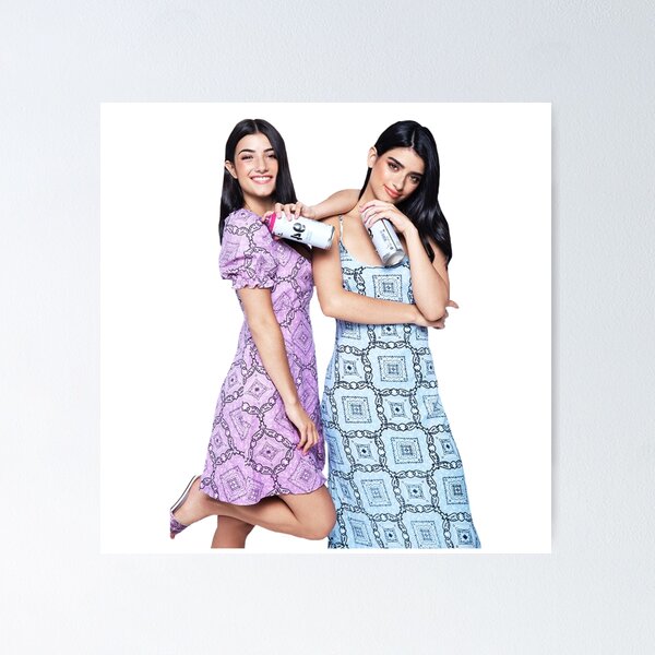 Item preview, Charli and Dixie D’amelio  designed and sold by Jessicavdavies.