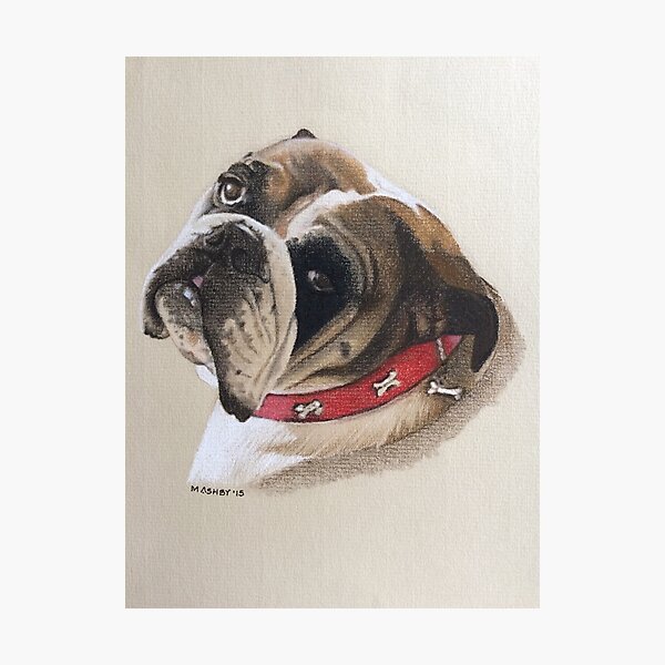 Artikel-Vorschau von Trixie die schöne britische Bulldogge, designt und verkauft von micheleashby.