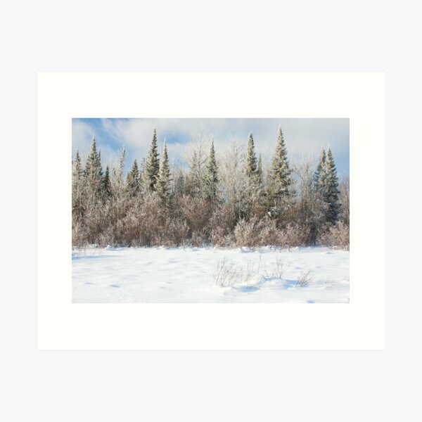 Sunlit Frosty Landscape Art Print
