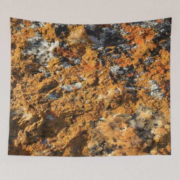 Item preview, Orange Lichen on Beach Rocks, Musselroe Bay Tasmania designed and sold by Jenie Yolland.