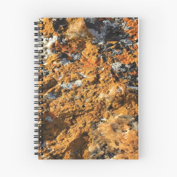 Item preview, Orange Lichen on Beach Rocks, Musselroe Bay Tasmania designed and sold by Jenie Yolland.