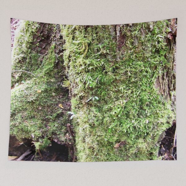 Item preview, Moss-covered tree designed and sold by Jenie Yolland.