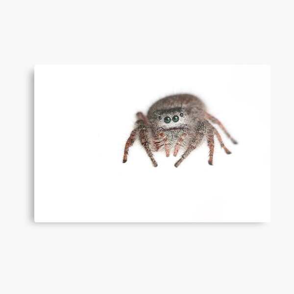 Who, Me? Metal Print