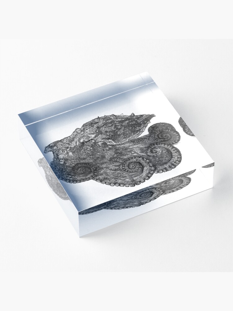 Alternate view of Augustus the Octopus Acrylic Block