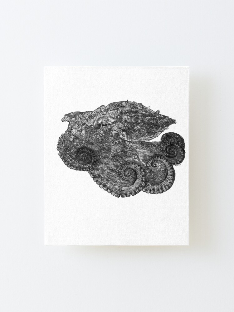 Alternate view of Augustus the Octopus Mounted Print
