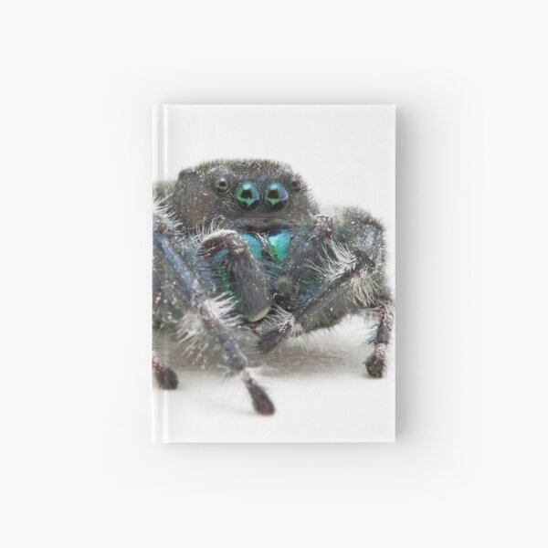 Daring Jumping Spider Hardcover Journal
