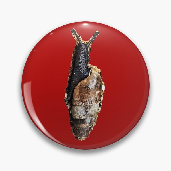 Item preview, Black snail designed and sold by 57victor.