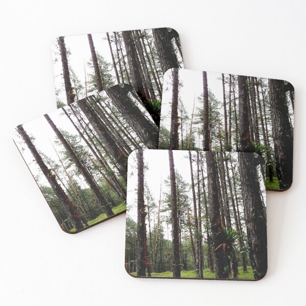Item preview, Into the Woods designed and sold by Erinn Todd.