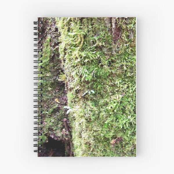 Item preview, Moss-covered tree designed and sold by Jenie Yolland.