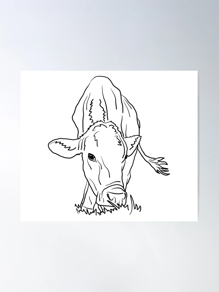 Young Cow Eating Grass Vector Hand Drawn Illustration Drawing Suited For  Label Design Educational Illustrations And