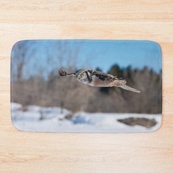 Item preview, Northern Hawk Owl designed and sold by Owl-Images.
