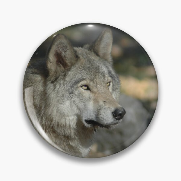Aperçu de l'œuvre Je suis loup arooo créée et vendue par Christopher B Smyth.