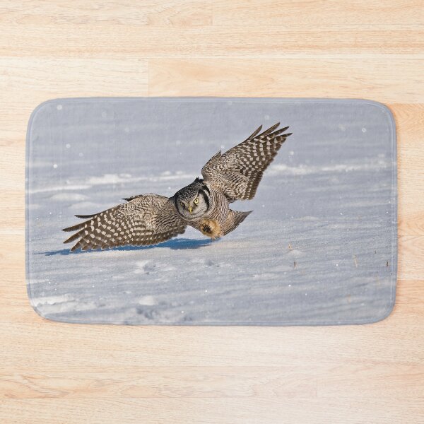 Item preview, Northern Hawk Owl designed and sold by Owl-Images.