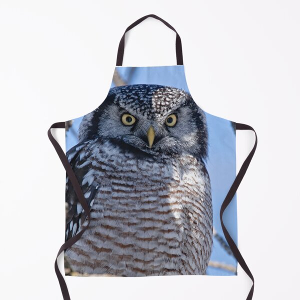 Item preview, Northern Hawk Owl designed and sold by Owl-Images.