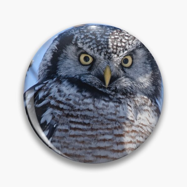 Item preview, Northern Hawk Owl designed and sold by Owl-Images.